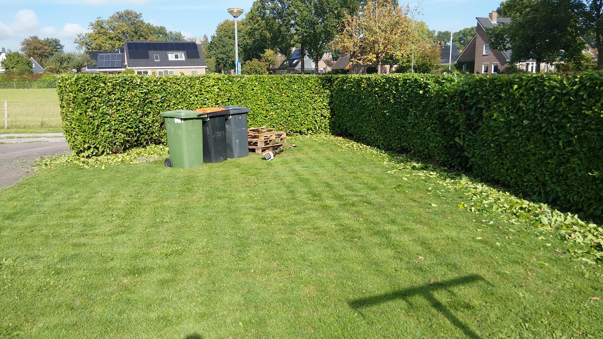 Gesnoeide heg met groenafval