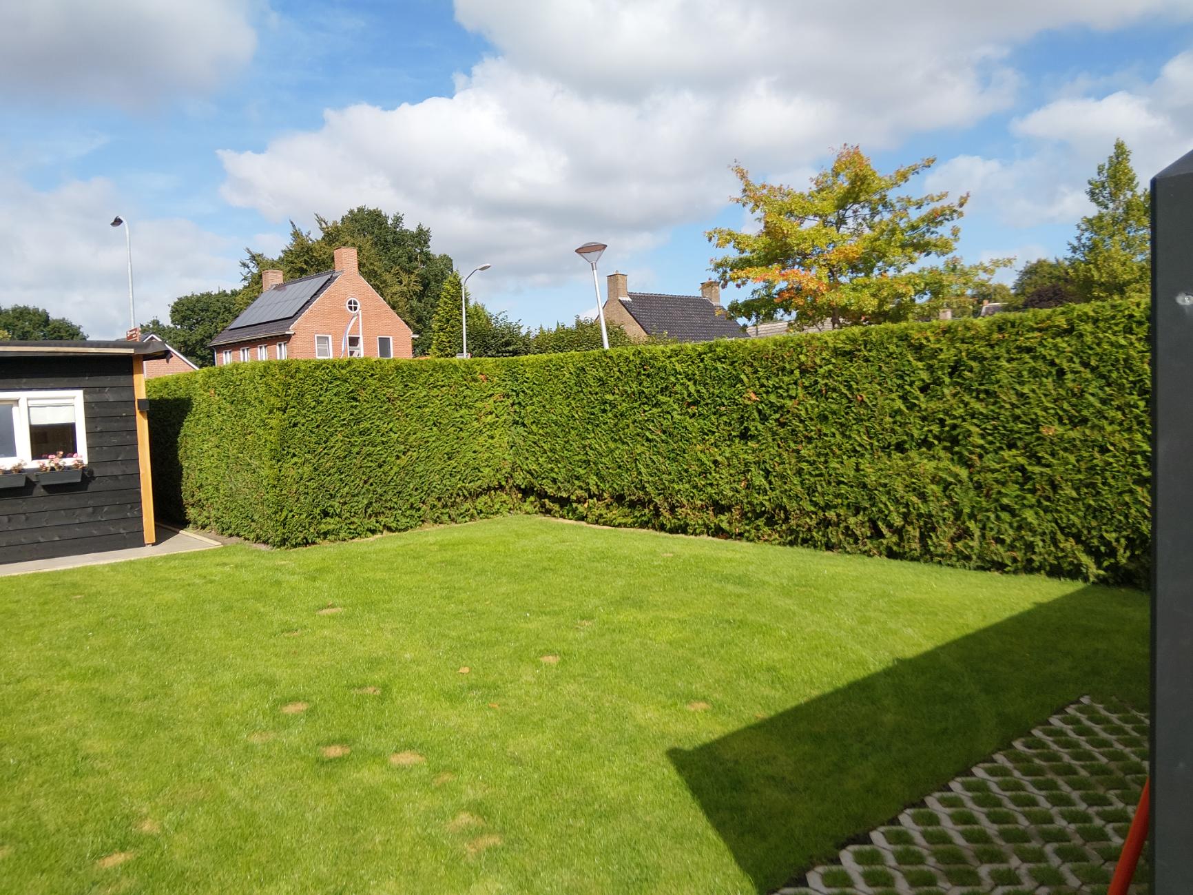 Hoge groene haag langs tuin
