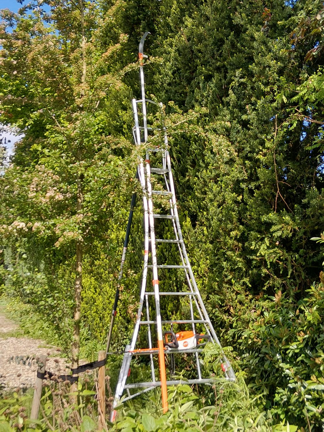 Ladder en snoeigereedschap bij heg