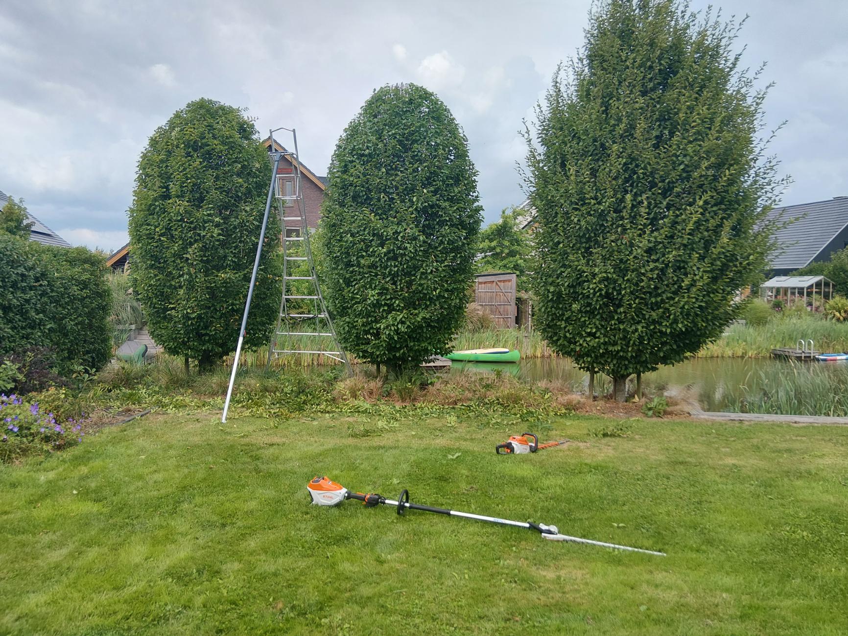 Ladder en snoeimachine bij bomen en heg