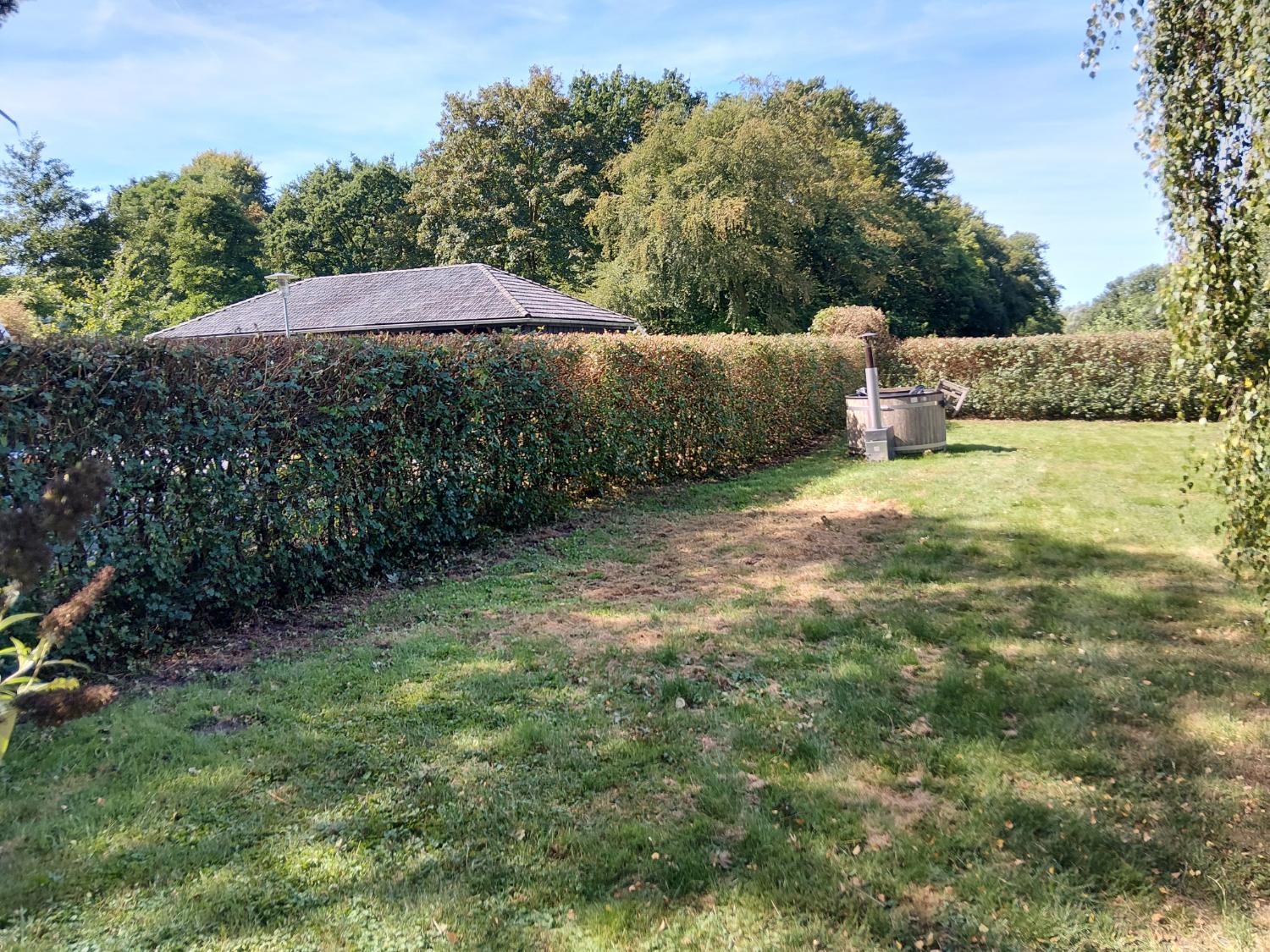 Tuin met haag en open gazon